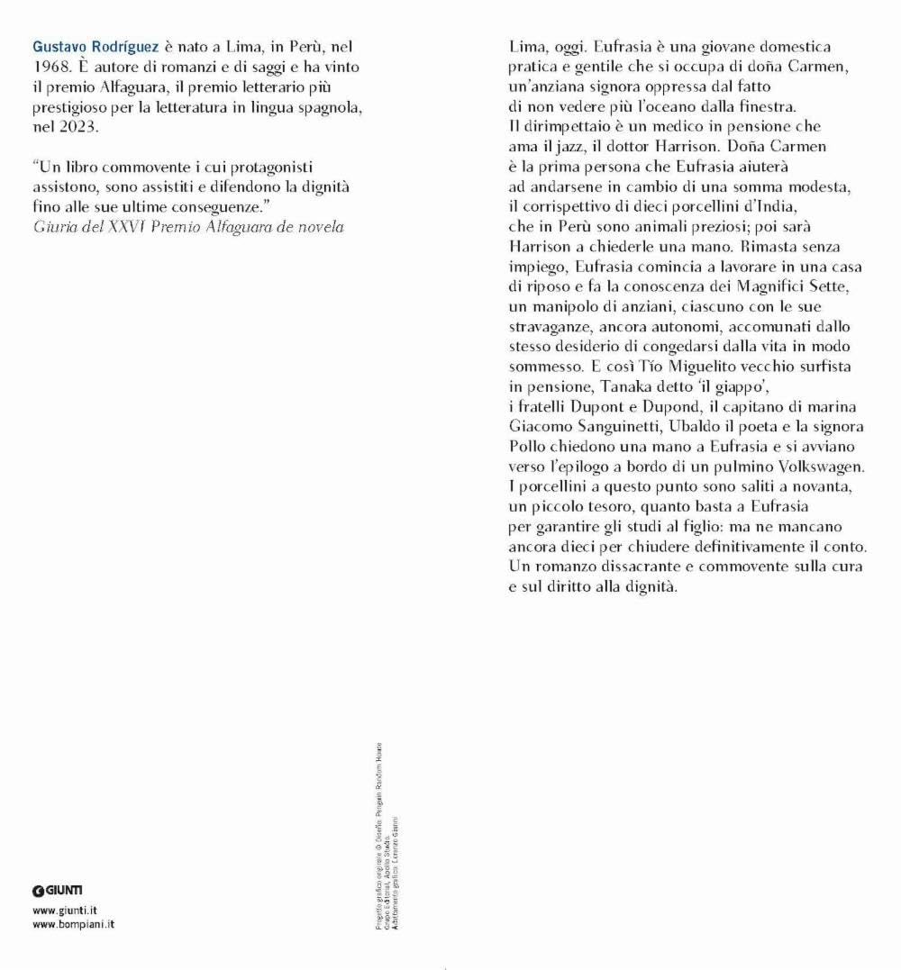 CENTO PORCELLINI D'INDIA