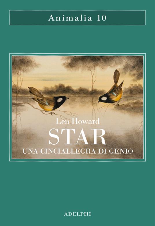 STAR. Una cinciallegra di genio
