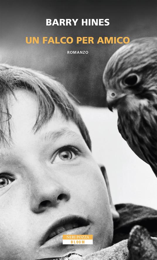 UN FALCO PER AMICO