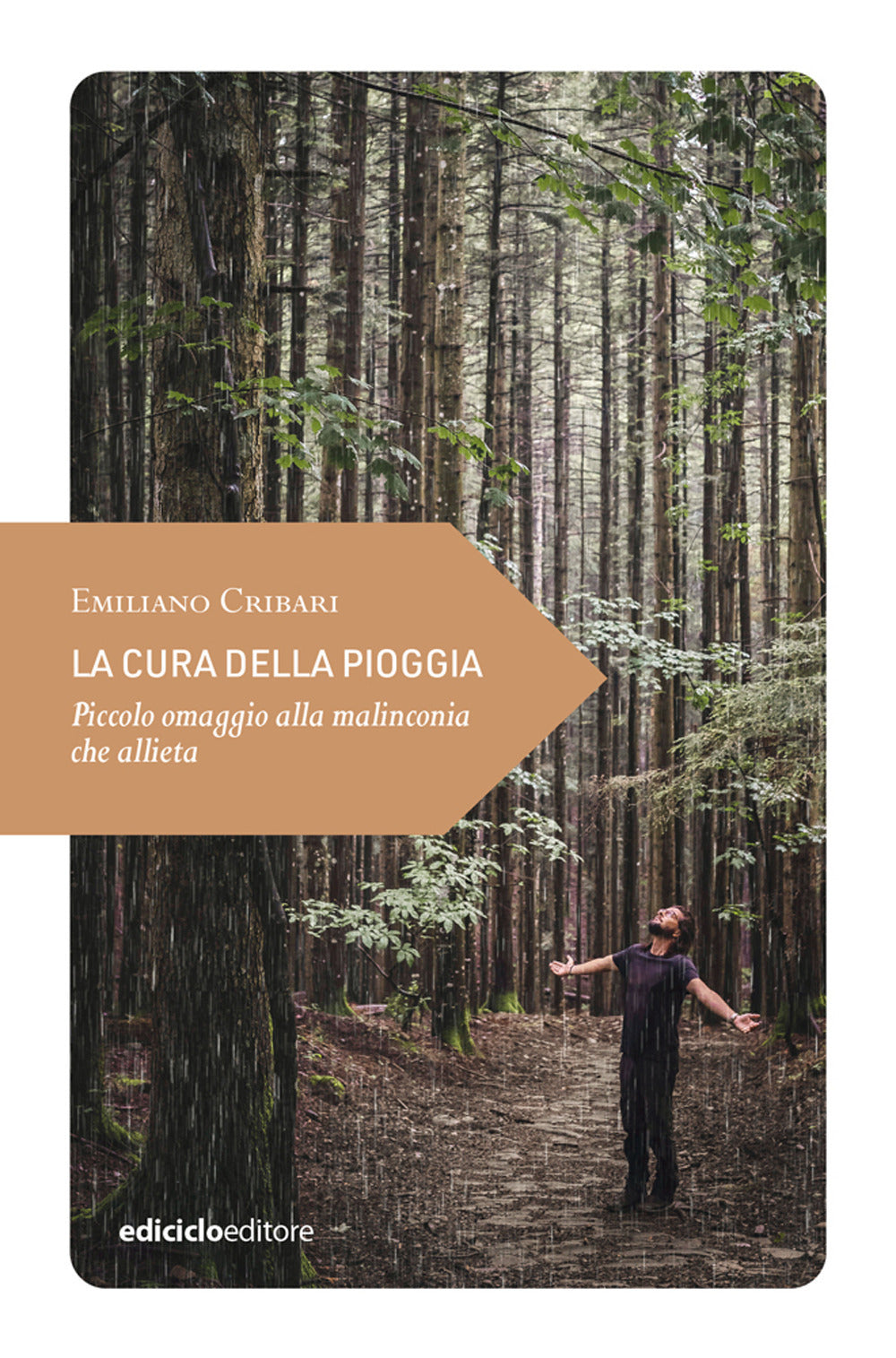 LA CURA DELLA PIOGGIA. Piccolo omaggio alla malinconia.