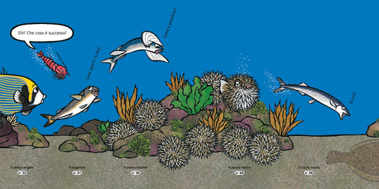 CHE SUCCEDE IN FONDO AL MARE? Ediz. illustrata