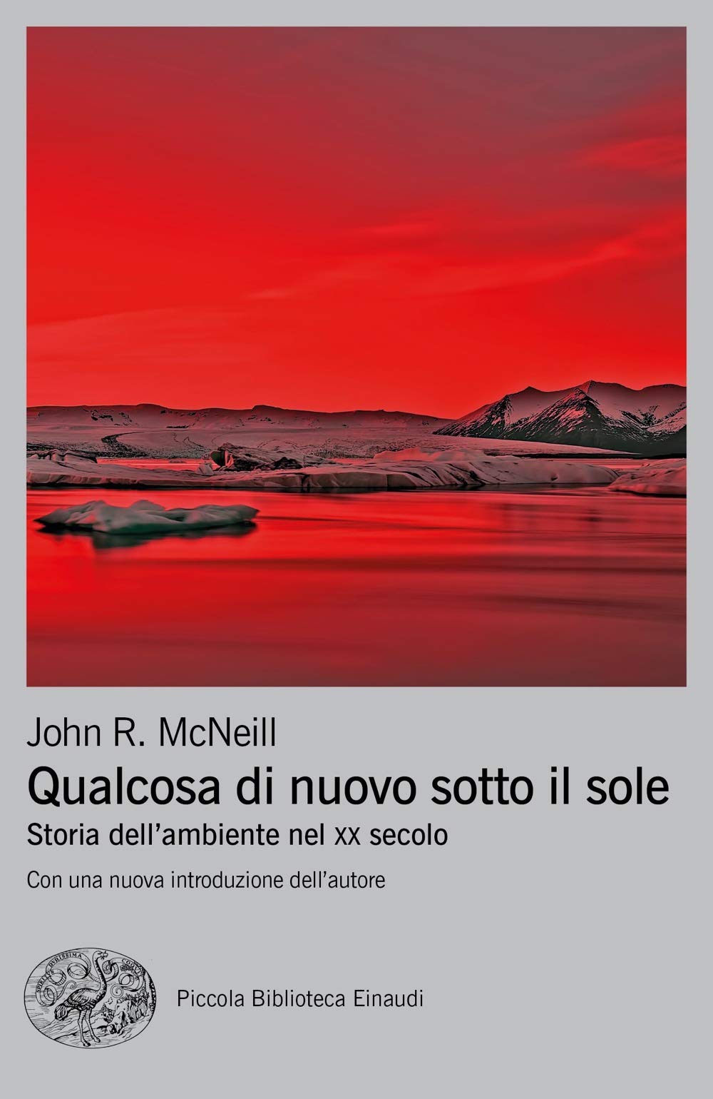 QUALCOSA DI NUOVO SOTTO IL SOLE. STORIA DELL'AMBIENTE NEL XX SECOLO