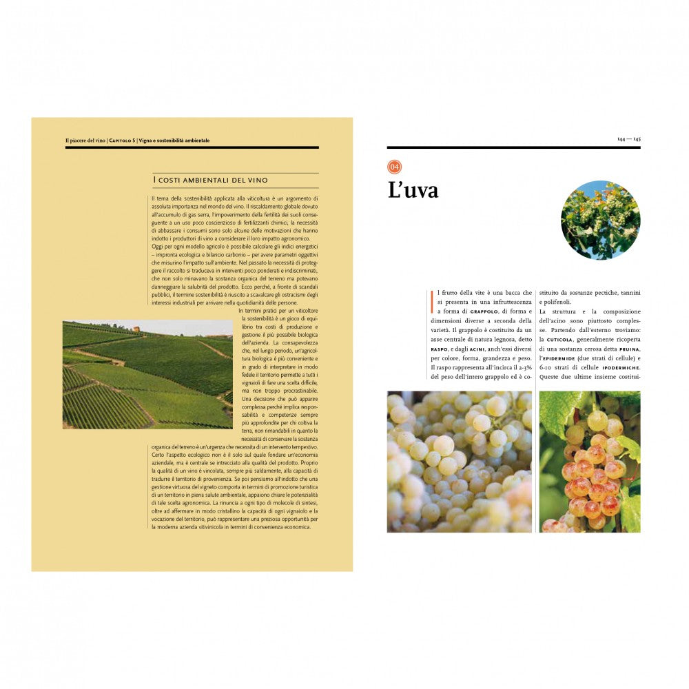 IL PIACERE DEL VINO