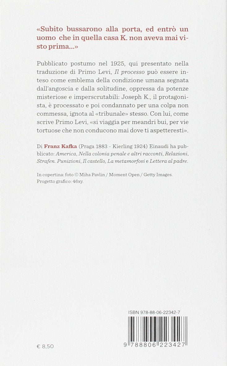 IL PROCESSO