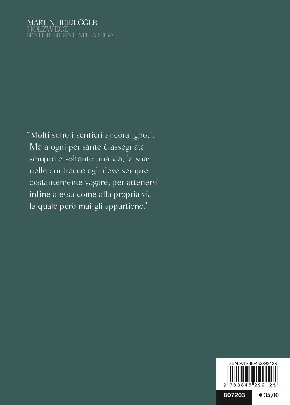 HOLZWEGE SENTIERI ERRANTI NELLA SELVA