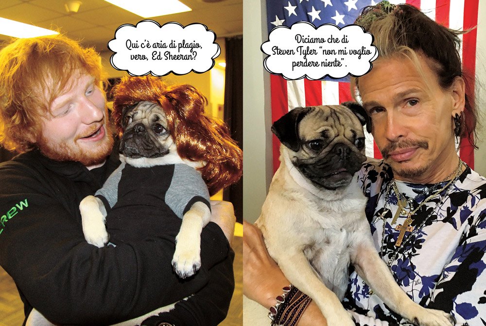 UN AMORE DI CARLINO. DOUG THE PUG