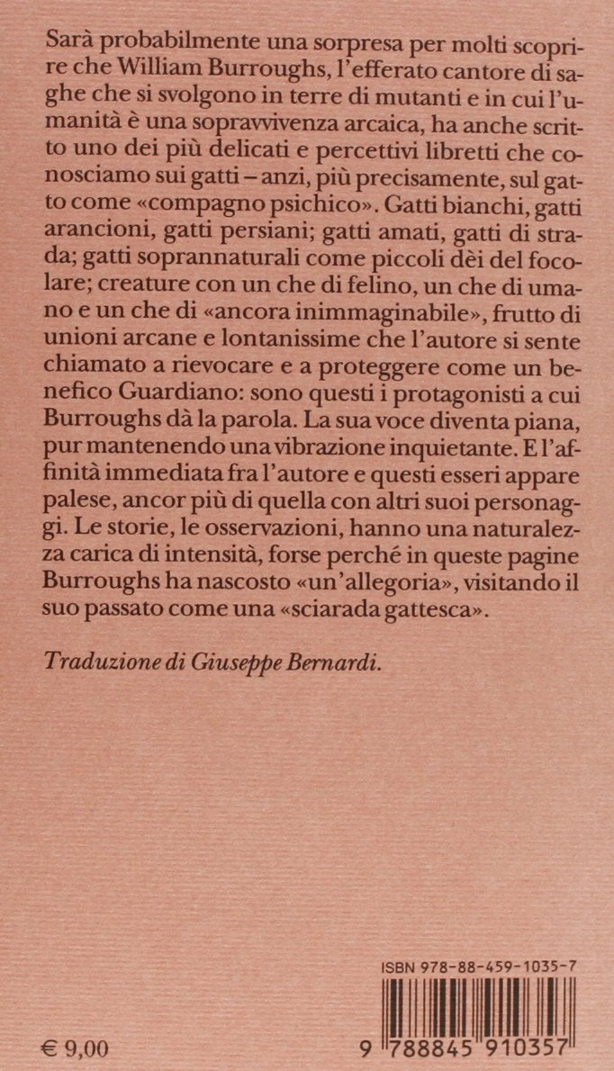 ILGATTO IN NOI