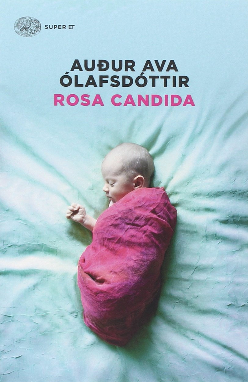 ROSA CANDIDA