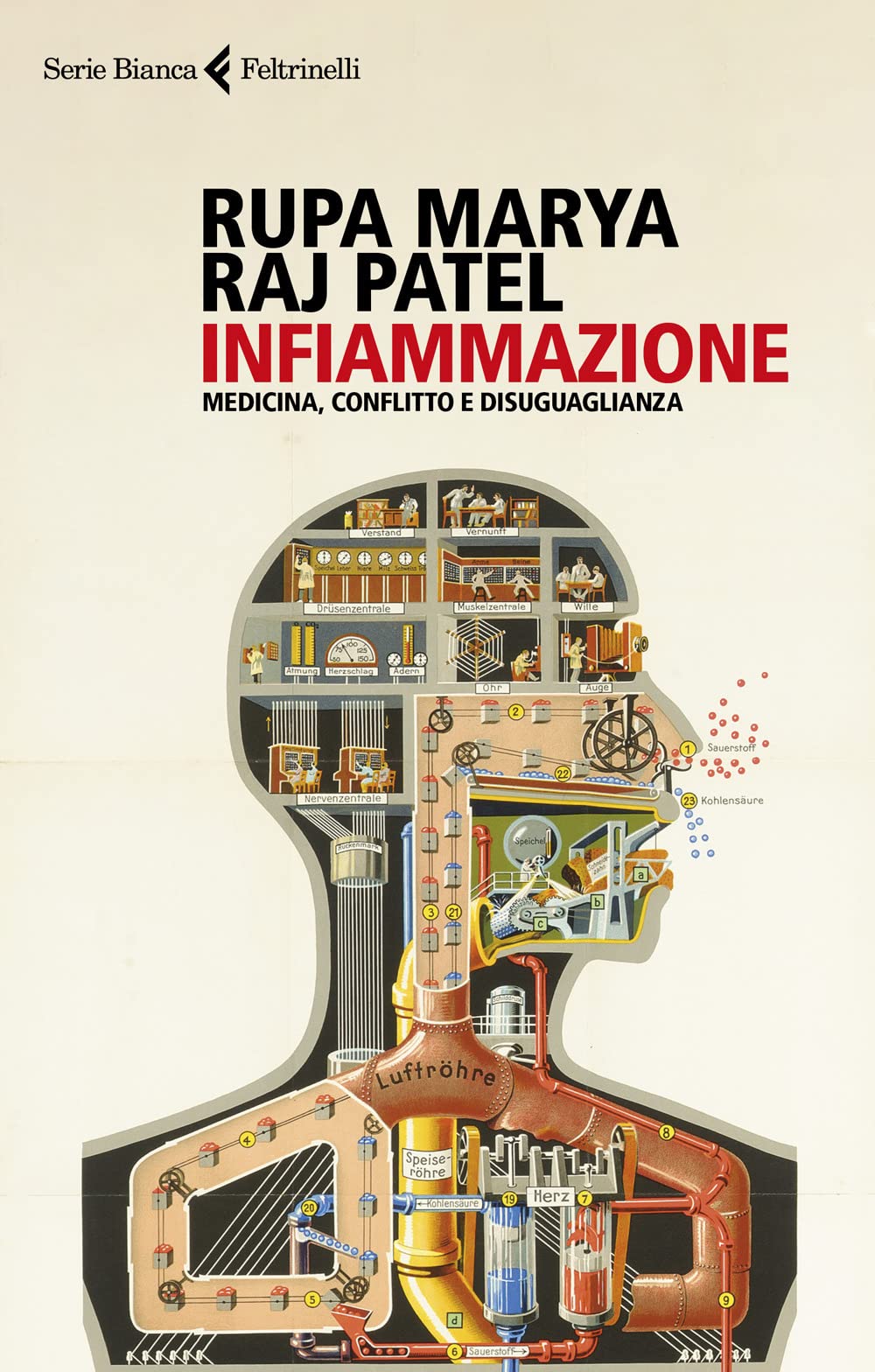 INFIAMMAZIONE. MEDICINA, CONFLITTO E DISUGUAGLIANZA