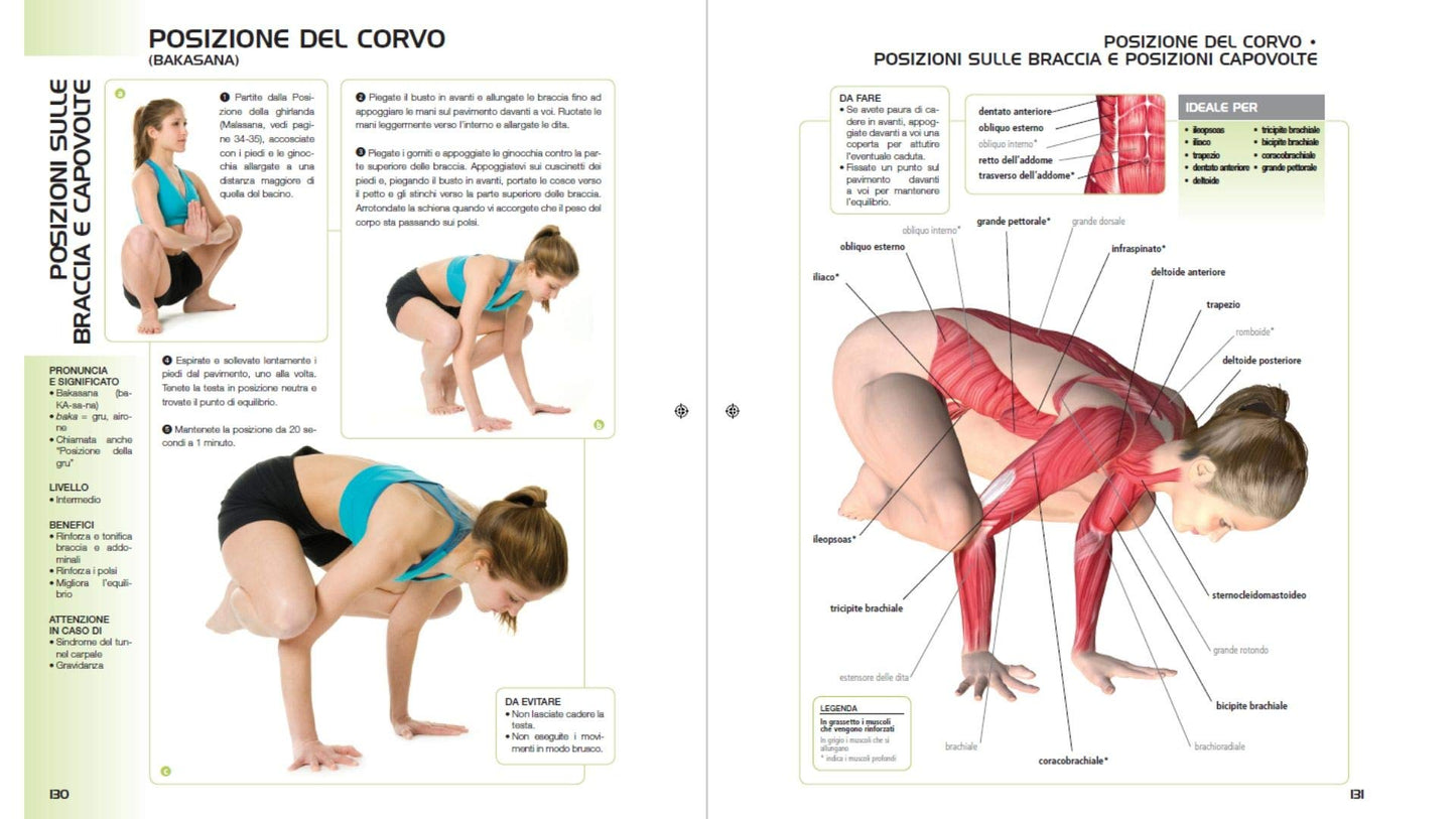 ANATOMIA DELLO YOGA. CONSIGLI PER LA CORRETTA ESECUZIONE DELLE ASANA. EDIZ. A COLORI