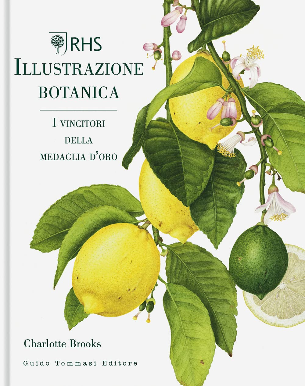 ILLUSTRAZIONE BOTANICA. EDIZ. A COLORI