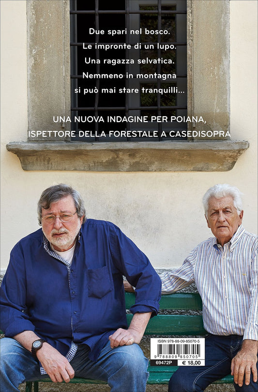 TEMPO DA ELFI. ROMANZO DI BOSCHI, LUPI E ALTRI MISTERI