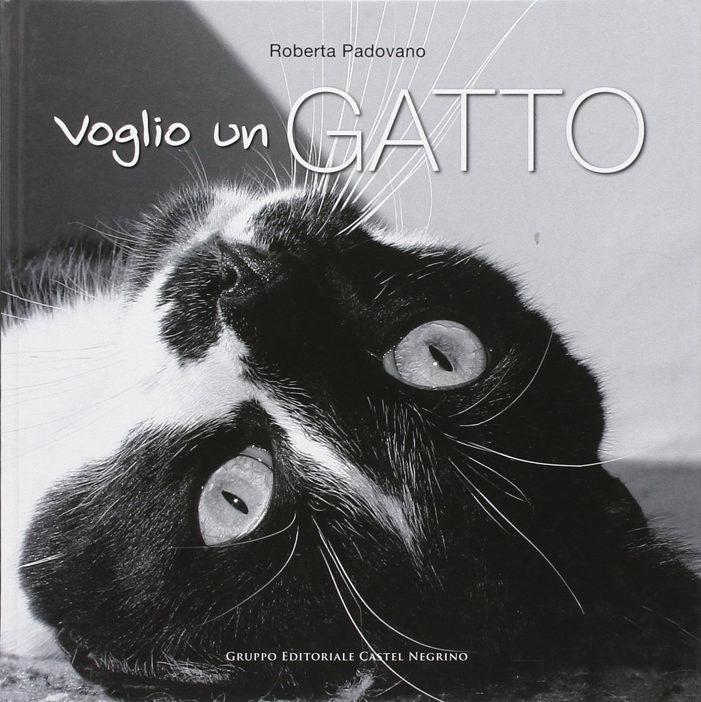 VOGLIO UN GATTO