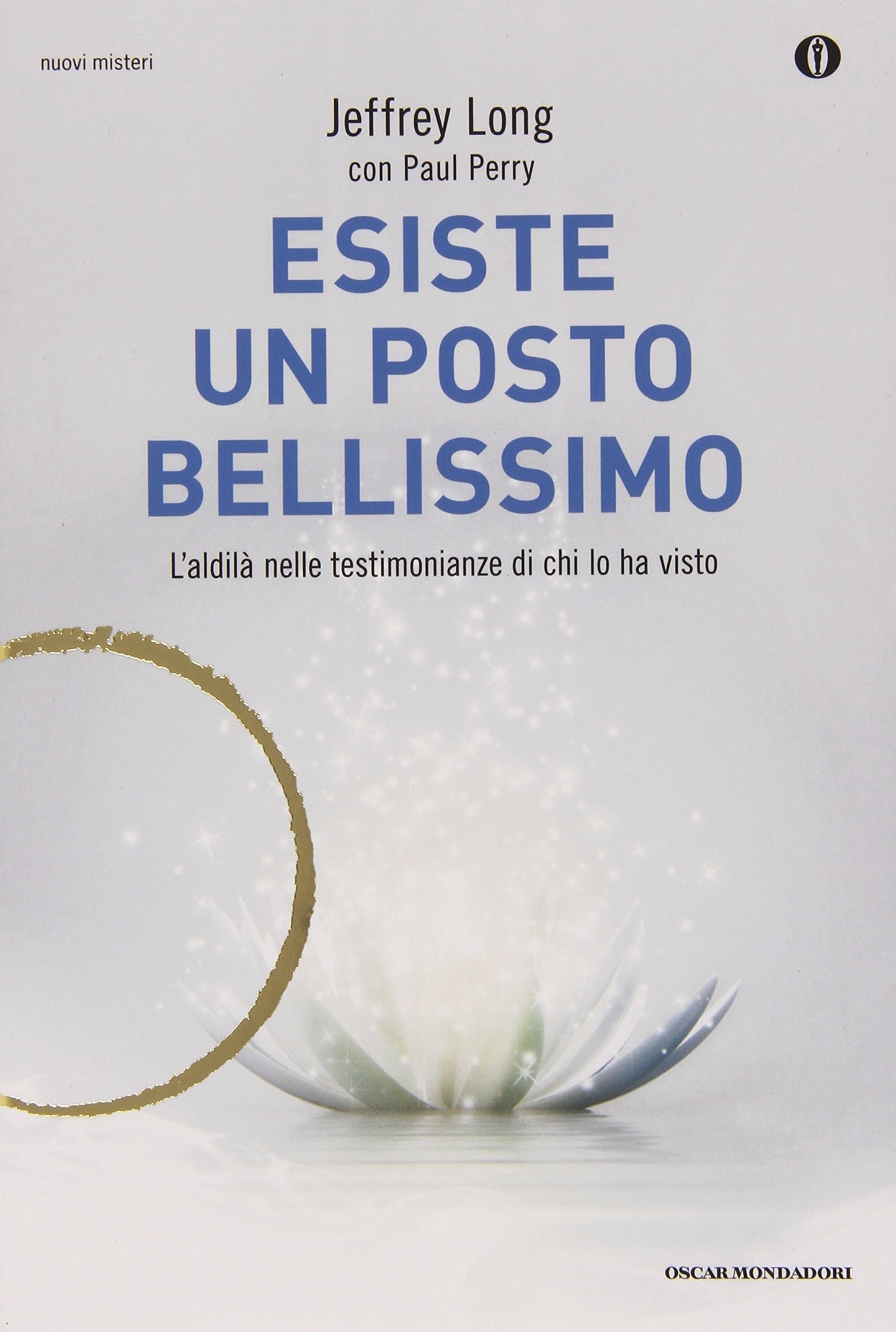 ESISTE UN POSTO BELLISSIMO. L'ALDILÀ NELLE TESTIMONIANZE DI CHI LO HA VISTO