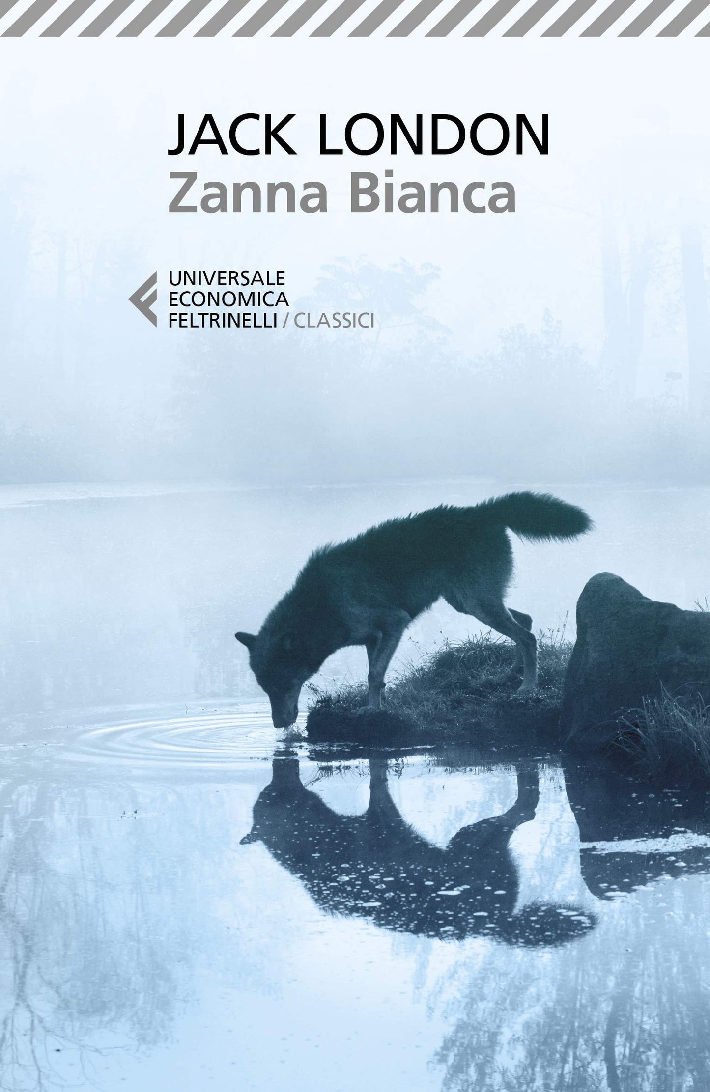 ZANNA BIANCA. EDIZ. AMPLIATA