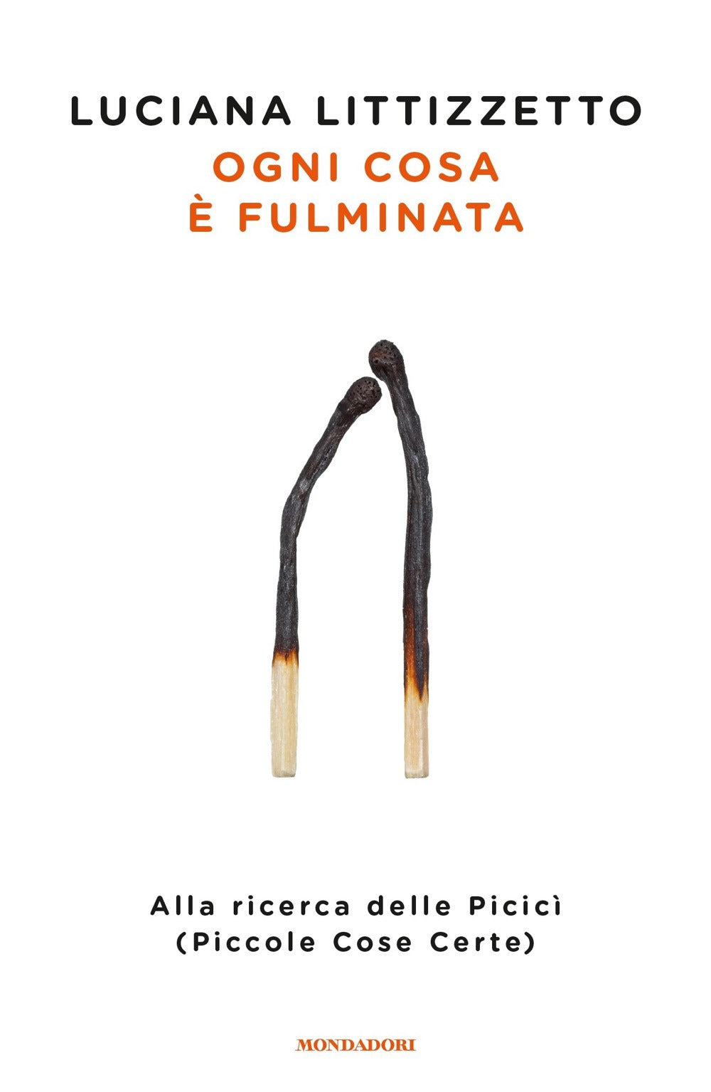 OGNI COSA È FULMINATA. ALLA RICERCA DELLE PICICÌ (PICCOLE COSE CERTE)