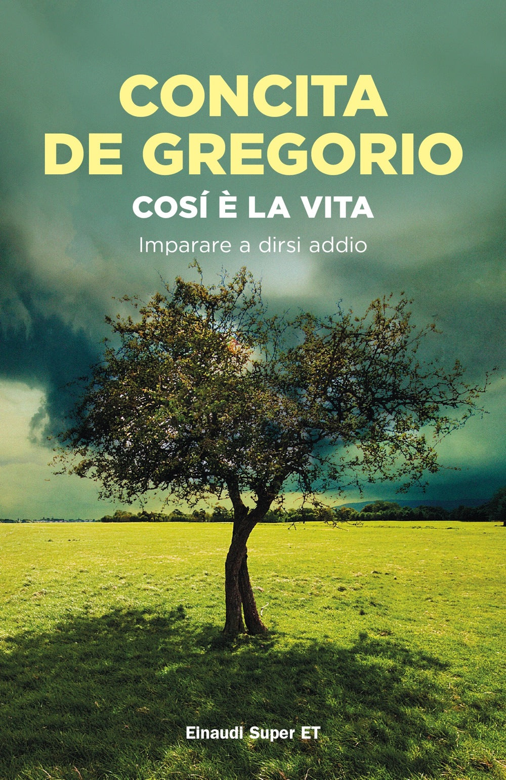 COSÌ È LA VITA. IMPARARE A DIRSI ADDIO