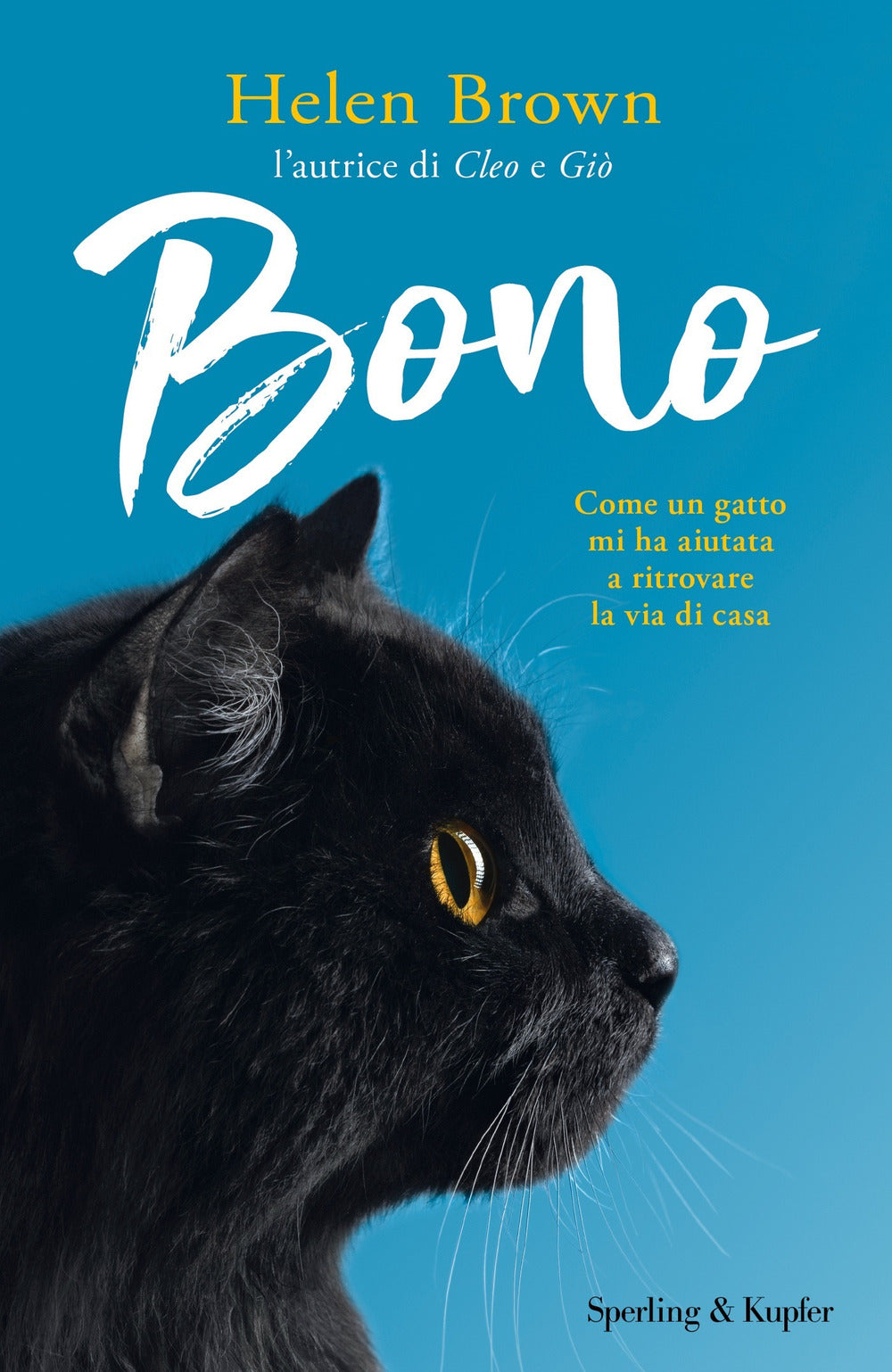 BONO. COME UN GATTO MI HA AIUTATA A RITROVARE LA VIA DI CASA