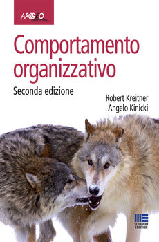 COMPORTAMENTO ORGANIZZATIVO