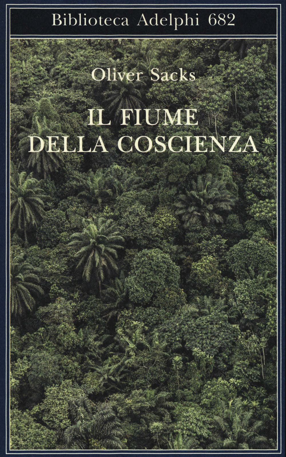 IL FIUME DELLA COSCIENZA