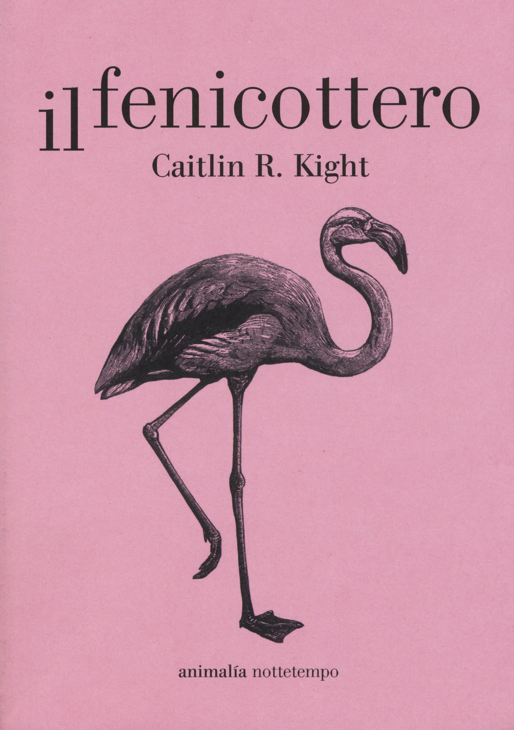 IL FENICOTTERO
