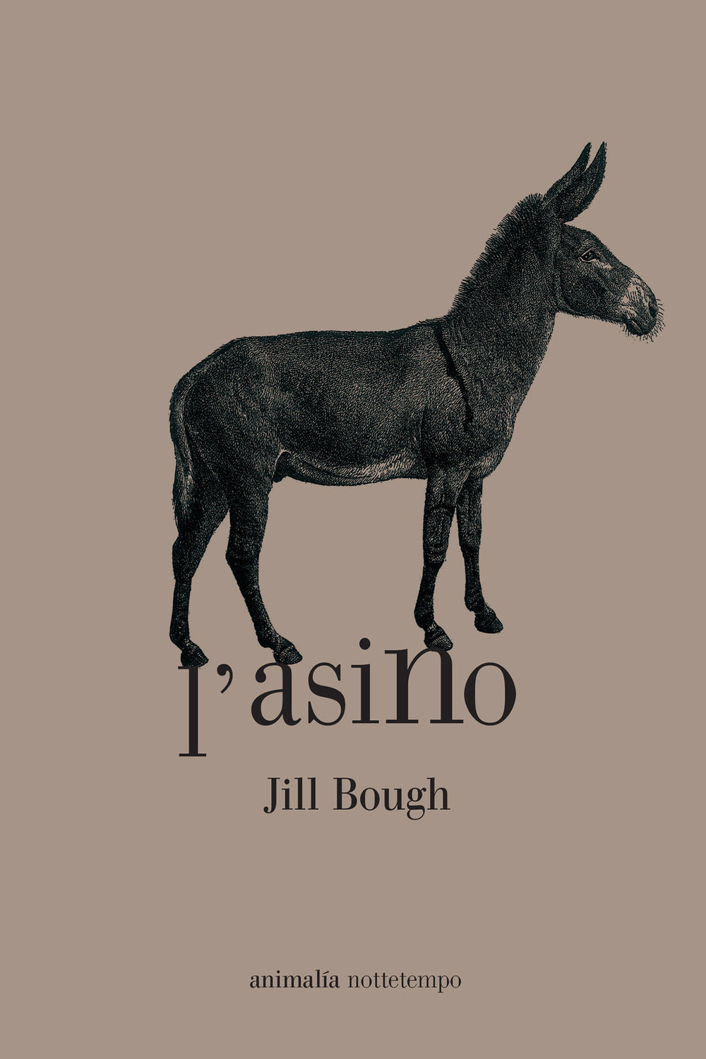 L'ASINO