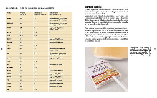 ACETO & ACETI. TUTTO IL FASCINO DELLE FERMENTAZIONI E COME REALIZZARLE IN CASA