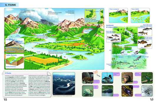 ATLANTE GEOGRAFICO DI BASE. PER LA SCUOLA PRIMARIA. CON AGGIORNAMENTO ONLINE. CON SCHEDE