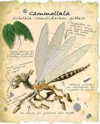 BESTIACCE! LE INCREDIBILI AVVENTURE DI SAM COLAM E DEL PROFESSORE PICO PANE