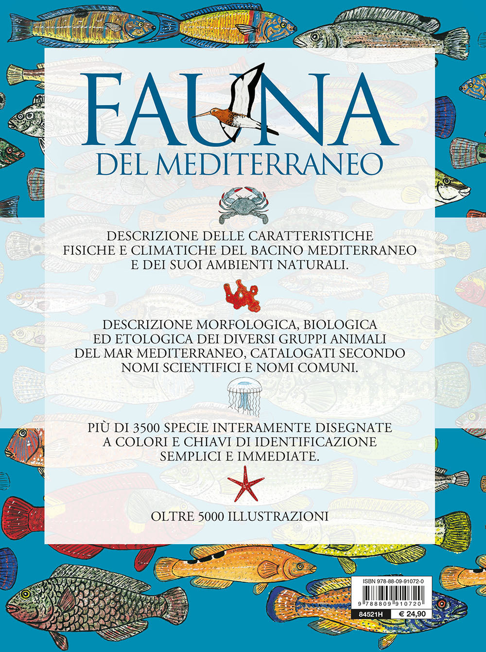 FAUNA DEL MEDITERRANEO