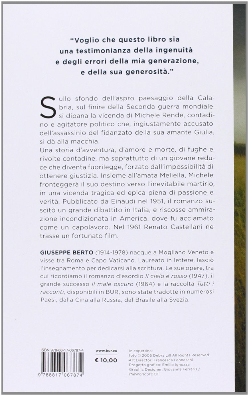 IL BRIGANTE