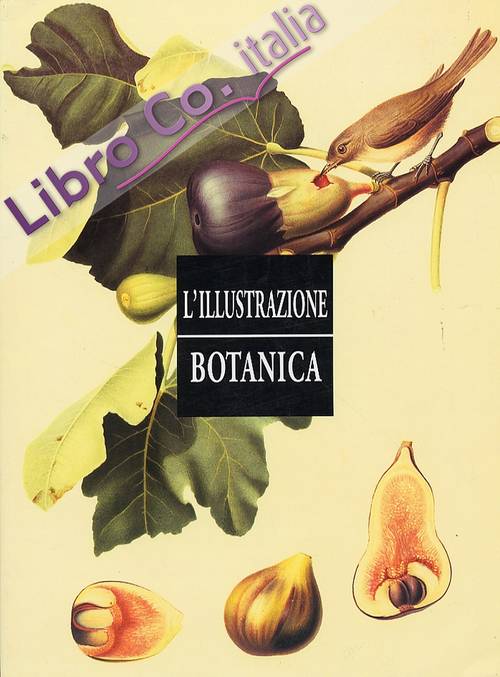 L'ILLUSTRAZIONE BOTANICA
