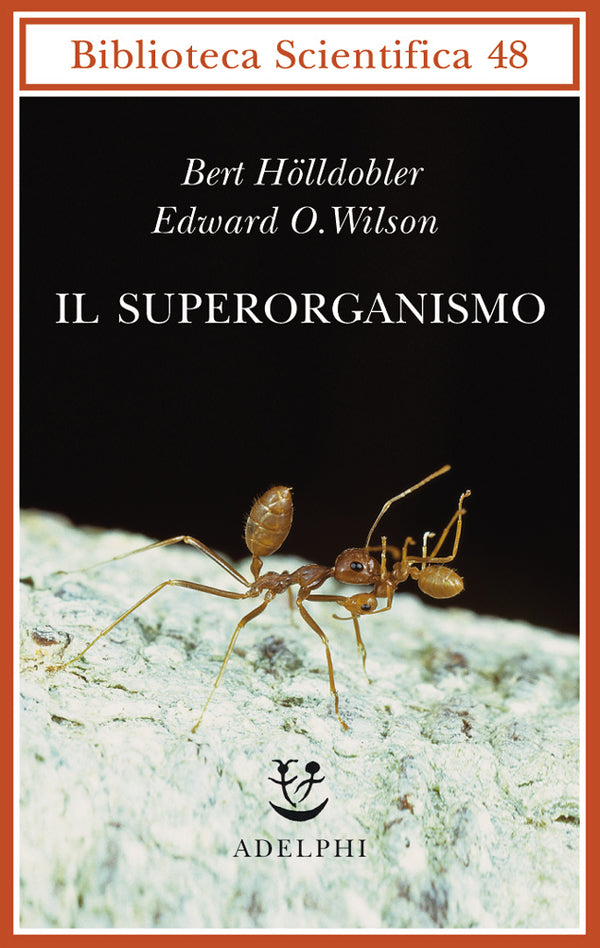 IL SUPERORGANISMO