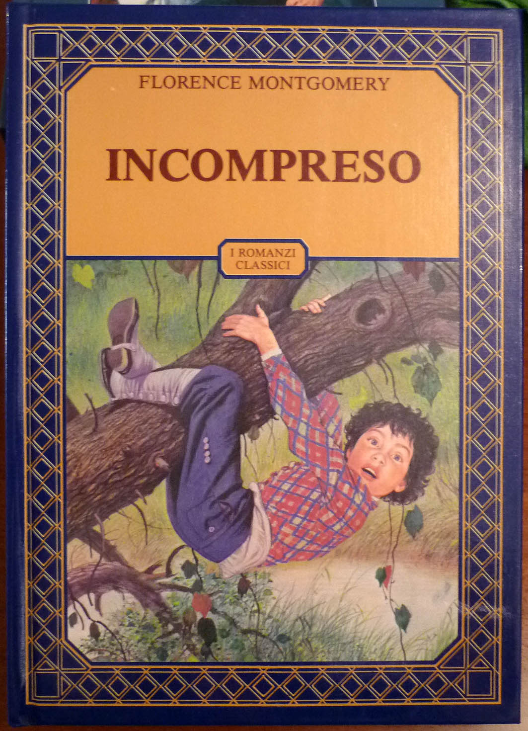 INCOMPRESO