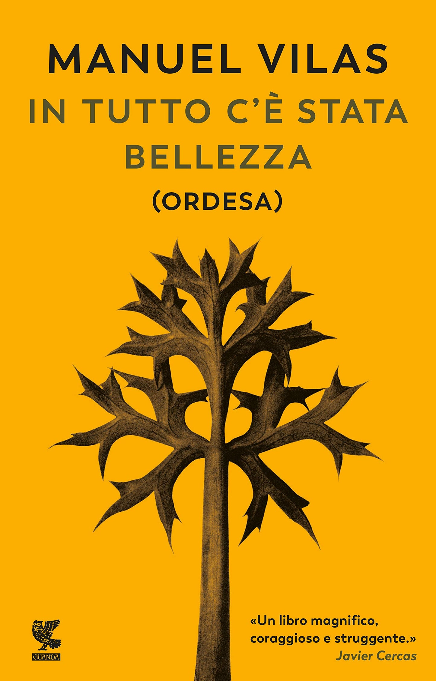 IN TUTTO C'E' STATA BELLEZZA