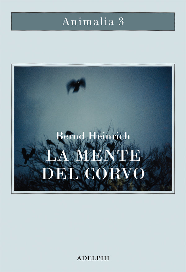 LA MENTE DEL CORVO