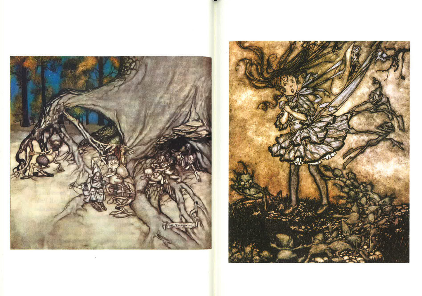 PETER PAN. EDIZ. ILLUSTRATA