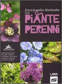 PIANTE PERENNI. EDIZ. ILLUSTRATA