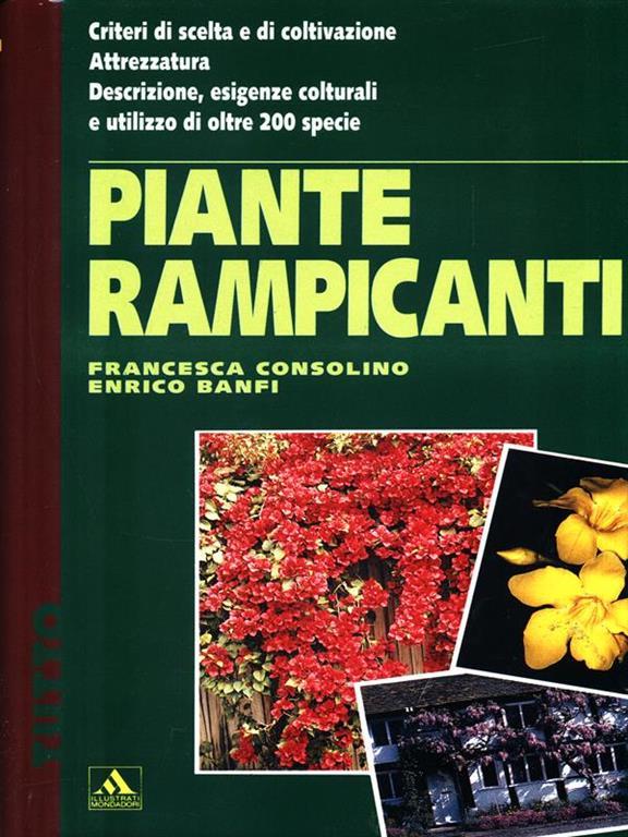 PIANTE RAMPICANTI