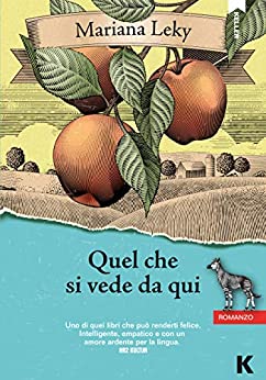 QUEL CHE SI VEDE DA QUI
