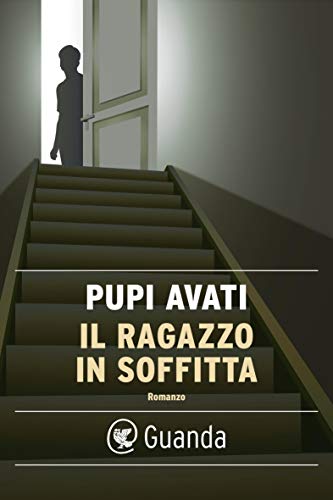 IL RAGAZZO IN SOFFITTA