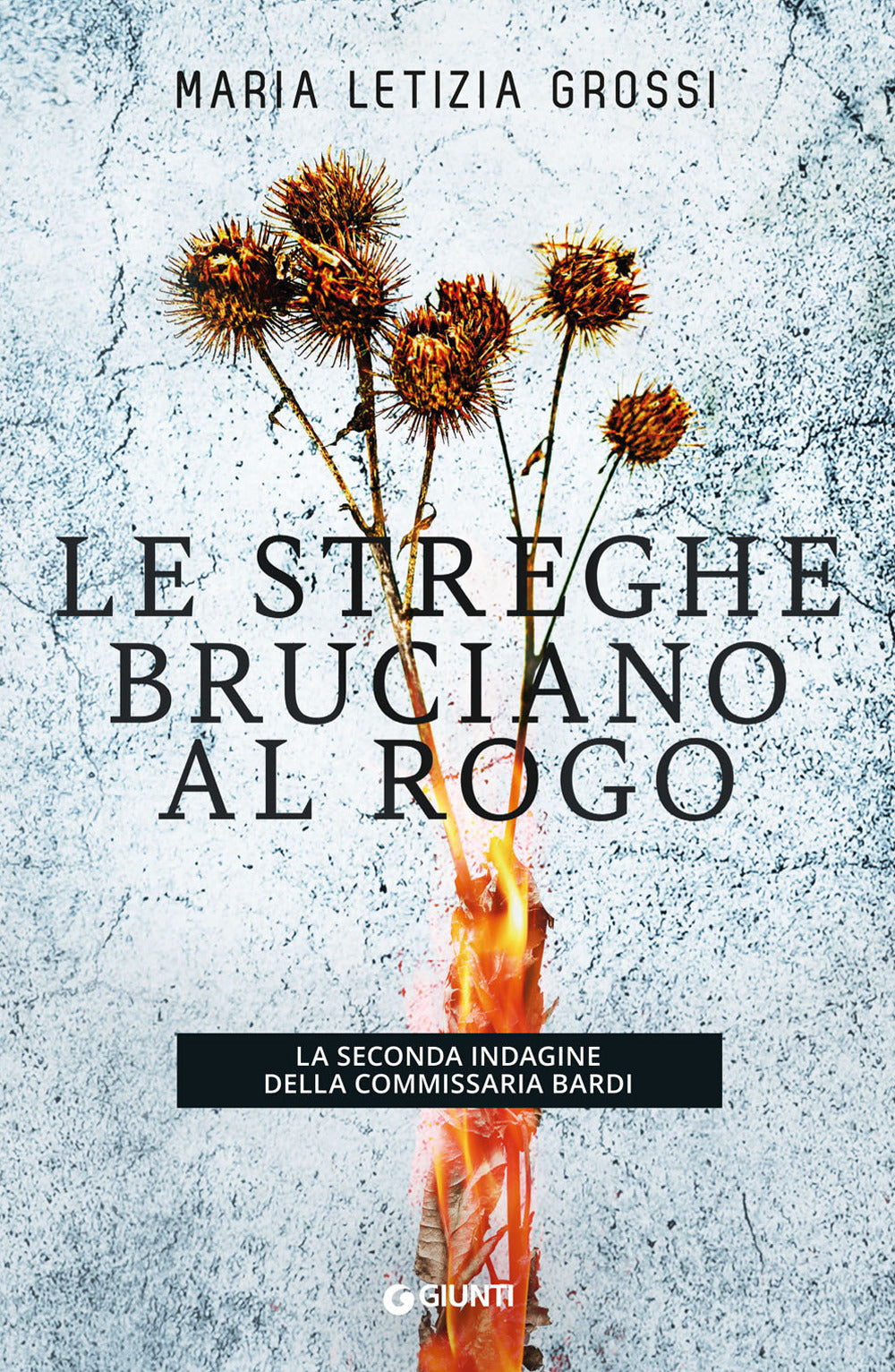 LE STREGHE BRUCIANO AL ROGO. LA SECONDA INDAGINE DELLA COMMISSARIA BARDI