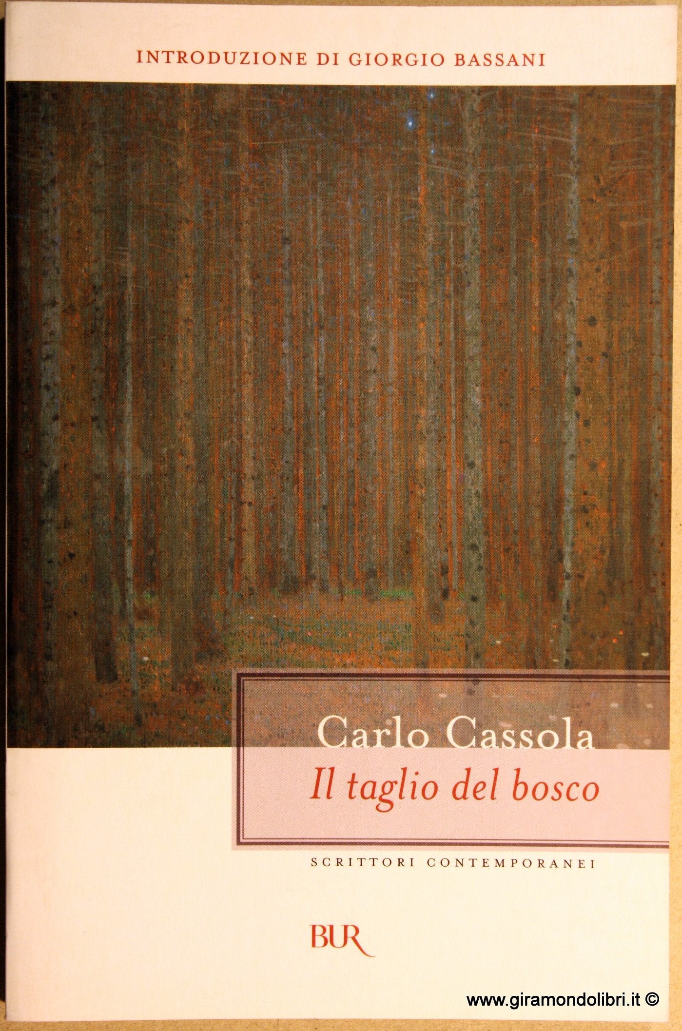IL TAGLIO DEL BOSCO