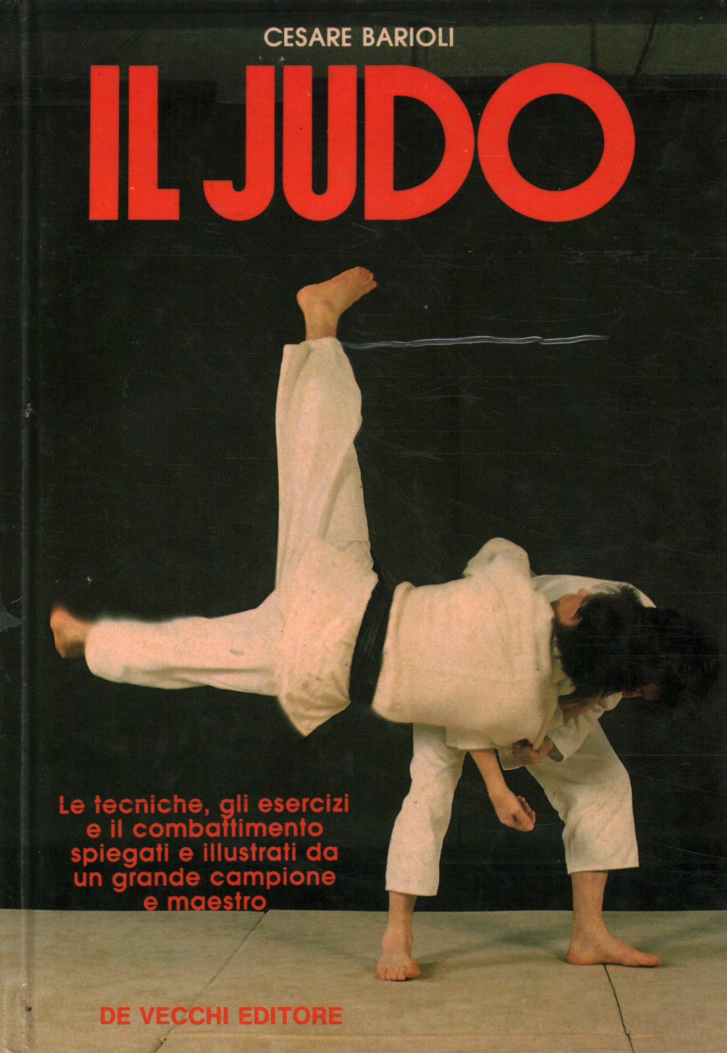 IL JUDO