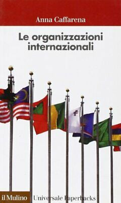 LE ORGANIZZAZIONI INTERNAZIONALI