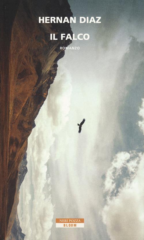 IL FALCO