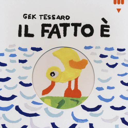 IL FATTO E’…Ediz. Illustrata