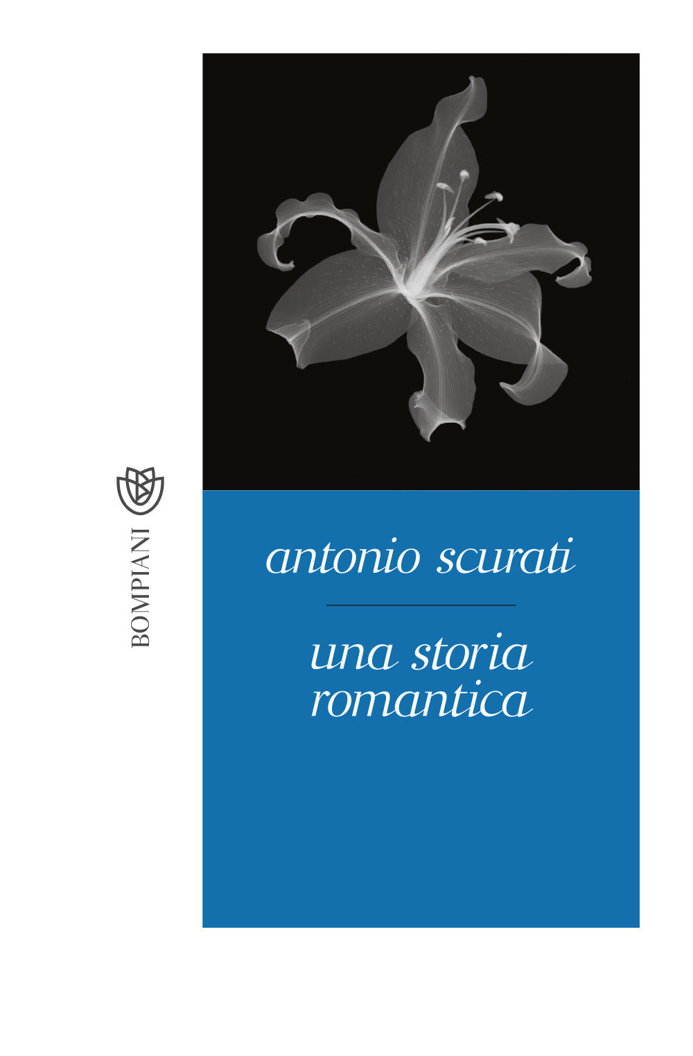 UNA STORIA ROMANTICA.