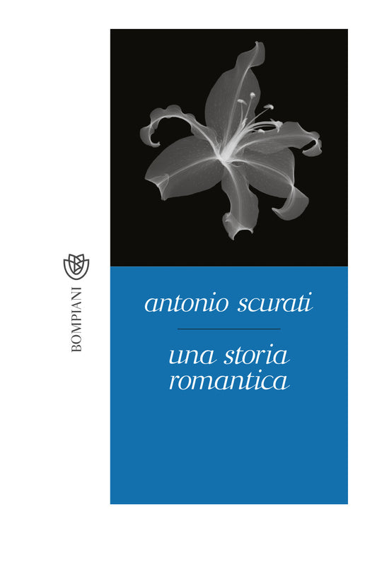 UNA STORIA ROMANTICA.