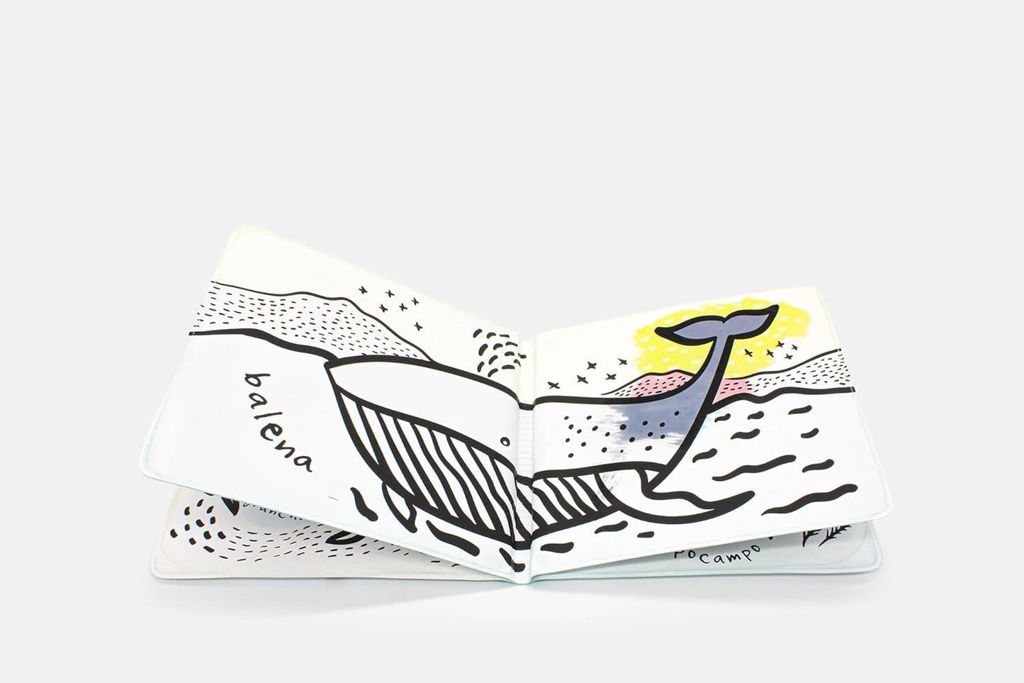 COLORAMI. Chi c'è nell'oceano? Libro bagno